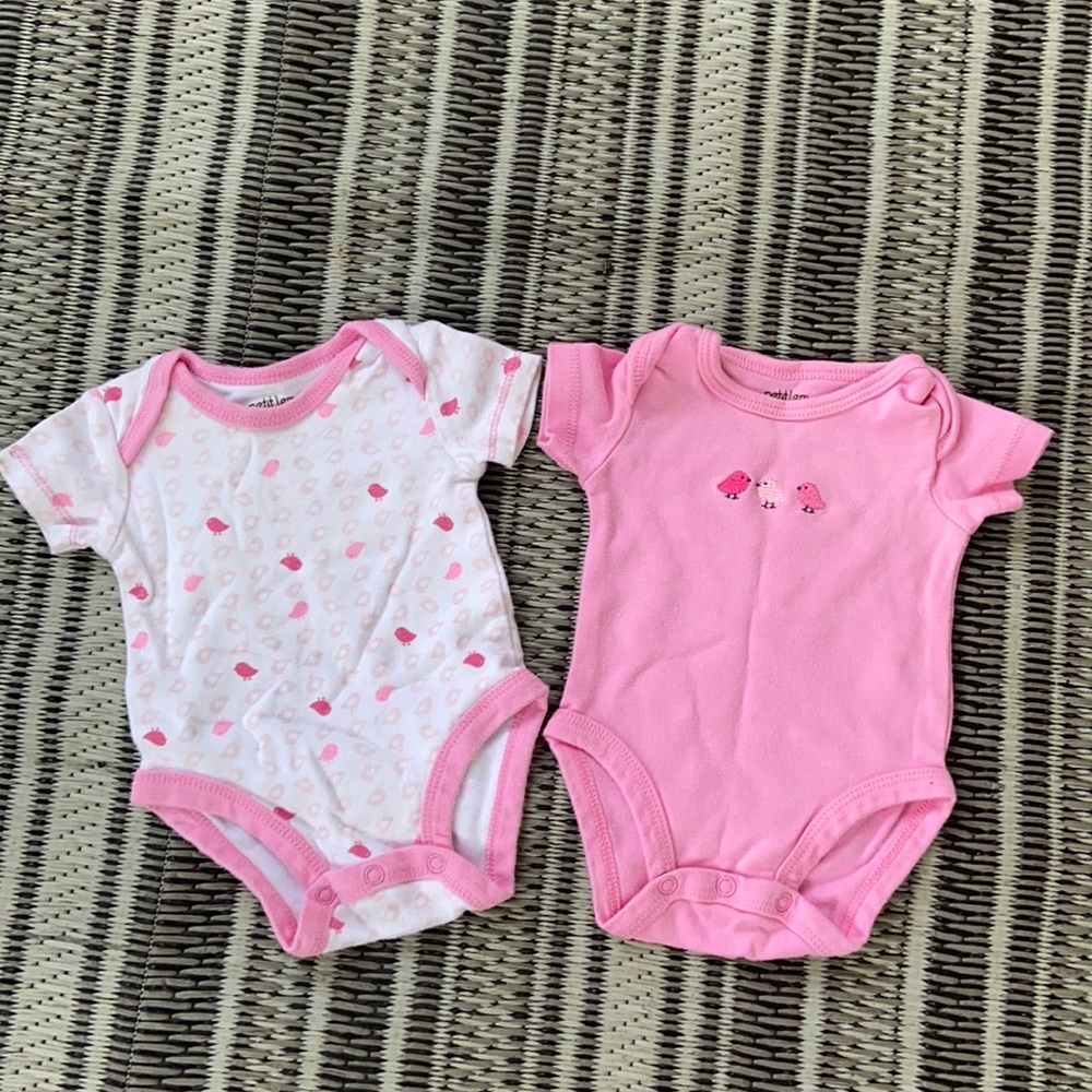 Petit lem newborn
